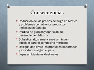 Consecuencias
O Reducción de los precios del trigo en México
y problemas con algunos productos
agrícolas en Canadá
O Pérdida de granjas y aparición del
desempleo en México
O Subsidios altos americanos vs ningún
subsidio para el campesino mexicano
O Desigualdad entre los productos importados
y exportados según el país
O Leyes ambientales desiguales
 