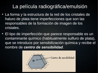 La película radiográfica/emulsión
●
La forma y la estructura de la red de los cristales de
haluro de plata tiene imperfecciones que son las
responsables de la formación de imagen de los
cristales.
●
El tipo de imperfección que parece responsable es un
contaminante químico (habitualmente sulfuro de plata),
que se introduce por sensibilización química y recibe el
nombre de centro de sensibilidad.
 