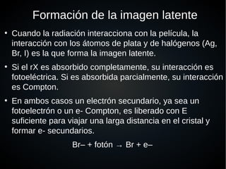 Formación de la imagen latente
●
Cuando la radiación interacciona con la película, la
interacción con los átomos de plata y de halógenos (Ag,
Br, I) es la que forma la imagen latente.
●
Si el rX es absorbido completamente, su interacción es
fotoeléctrica. Si es absorbida parcialmente, su interacción
es Compton.
●
En ambos casos un electrón secundario, ya sea un
fotoelectrón o un e- Compton, es liberado con E
suficiente para viajar una larga distancia en el cristal y
formar e- secundarios.
Br– + fotón → Br + e–
 