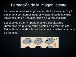 Formación de la imagen latente
●
La mayoría de estos e- provienen de los iones de Br y I
pasando a ser átomos neutros y la pérdida de la carga
iónica resulta en una disrupción de la red cristalina.
●
Los átomos de Br y I pueden ahora desplazarse
libremente, ya que no están sujetos a fuerzas iónicas.
Estos átomos se desplazan fuera del cristal hacia la parte
de gelatina
 