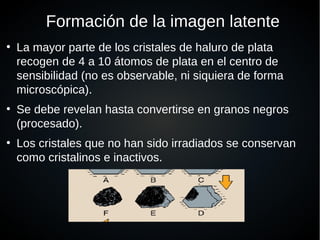 Formación de la imagen latente
●
La mayor parte de los cristales de haluro de plata
recogen de 4 a 10 átomos de plata en el centro de
sensibilidad (no es observable, ni siquiera de forma
microscópica).
●
Se debe revelan hasta convertirse en granos negros
(procesado).
●
Los cristales que no han sido irradiados se conservan
como cristalinos e inactivos.
 