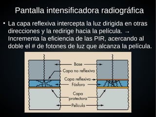 Pantalla intensificadora radiográfica
●
La capa reflexiva intercepta la luz dirigida en otras
direcciones y la redirige hacia la película. →
Incrementa la eficiencia de las PIR, acercando al
doble el # de fotones de luz que alcanza la película.
 
