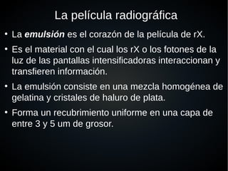 La película radiográfica
●
La emulsión es el corazón de la película de rX.
●
Es el material con el cual los rX o los fotones de la
luz de las pantallas intensificadoras interaccionan y
transfieren información.
●
La emulsión consiste en una mezcla homogénea de
gelatina y cristales de haluro de plata.
●
Forma un recubrimiento uniforme en una capa de
entre 3 y 5 um de grosor.
 