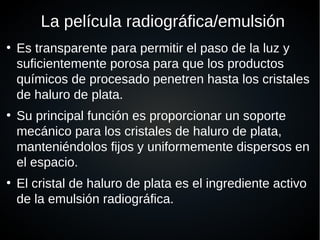 La película radiográfica/emulsión
●
Es transparente para permitir el paso de la luz y
suficientemente porosa para que los productos
químicos de procesado penetren hasta los cristales
de haluro de plata.
●
Su principal función es proporcionar un soporte
mecánico para los cristales de haluro de plata,
manteniéndolos fijos y uniformemente dispersos en
el espacio.
●
El cristal de haluro de plata es el ingrediente activo
de la emulsión radiográfica.
 
