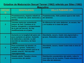 Estadios de Maduración Sexual Tanner (1962) referido por Sileo (1992) Masculino ESTADIO GENITALES(G) VELLO PUBIANO (VP) 1 Preadolescencia, Aspecto infantil en forma y tamaño de: pene, testículos y escroto. Preadolescente. Vello pubiano igual al del resto del abdomen. 2 Volumen testicular aumentando (mayor de 3ml). Cambios en la textura, elongación y enrojecimiento de la piel del escroto. No hay modificaciones en el pene. Se diferencia del resto abdomen, es escaso, liso y se localiza en la base del pene. 3 Aumento en la longitud del pene con poco aumento en grosor. Aumento de testículos y escroto. La piel escrotal se oscurece y se hace rugosa. Abundante, oscuro, rizado más pigmentado y grueso. Extendido a ambos lados del pubis. 4 Pene aumentado de tamaño; en longitud y grosor. Testículos y escroto de mayor tamaño que en el estadio anterior. Piel escrotal hiperpigmentada. Abundante, oscuro, rizado Cubre toda el área sin excederla. 5 Estadio adulto. Tamaño y forma característica del adulto. Distribución característica del adulto, cubre la cara interna de los muslos. Puede extenderse a la línea alba del abdomen. 
