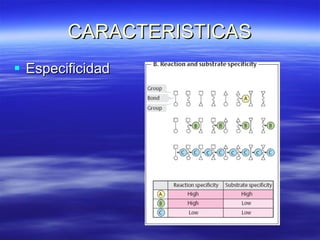 CARACTERISTICAS Especificidad