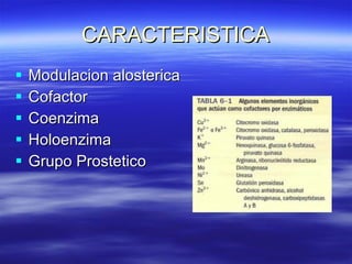 CARACTERISTICA Modulacion alosterica Cofactor Coenzima Holoenzima Grupo Prostetico