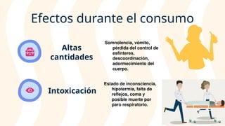 Altas
cantidades
Somnolencia, vómito,
pérdida del control de
esfínteres,
descoordinación,
adormecimiento del
cuerpo.
Efectos durante el consumo
Estado de inconsciencia,
hipotermia, falta de
reflejos, coma y
posible muerte por
paro respiratorio.
Intoxicación
 