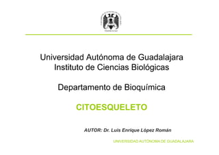 Universidad Autónoma de Guadalajara
Instituto de Ciencias Biológicas
Departamento de Bioquímica
CITOESQUELETO
UNIVERSIDAD AUTÓNOMA DE GUADALAJARA
Universidad Autónoma de Guadalajara
Instituto de Ciencias Biológicas
Departamento de Bioquímica
CITOESQUELETO
AUTOR: Dr. Luis Enrique López RománAUTOR: Dr. Luis Enrique López Román
 