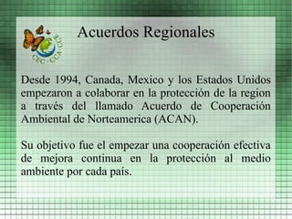 Acuerdos Regionales

Desde 1994, Canada, Mexico y los Estados Unidos
empezaron a colaborar en la protección de la region
a través del llamado Acuerdo de Cooperación
Ambiental de Norteamerica (ACAN).

Su objetivo fue el empezar una cooperación efectiva
de mejora continua en la protección al medio
ambiente por cada país.
 