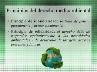 Principios del derecho medioambiental
●   Principio de subsidiaridad: se trata de pensar
    globalmente y actuar localmente.
●   Principio de solidaridad: el derecho debe de
    responder equitativamente a las necesidades
    ambientales y de desarrollo de las generaciones
    presentes y futuras.
 
