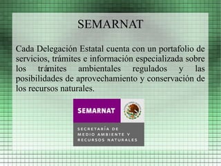 SEMARNAT
Cada Delegación Estatal cuenta con un portafolio de
servicios, trámites e información especializada sobre
los trámites ambientales regulados y las
posibilidades de aprovechamiento y conservación de
los recursos naturales.
 