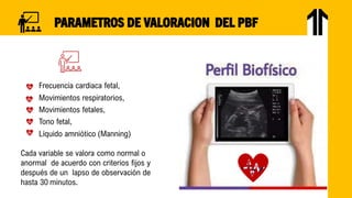 SESION 8 BF-2023.pdf (1).pdf