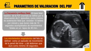 SESION 8 BF-2023.pdf (1).pdf