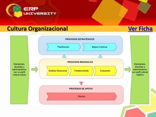 Cultura Organizacional Ver Ficha
 