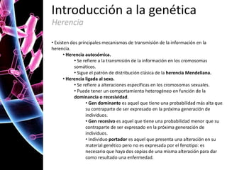 Introducción a la genética
Herencia
• Existen dos principales mecanismos de transmisión de la información en la
herencia.
• Herencia autosómica.
• Se refiere a la transmisión de la información en los cromosomas
somáticos.
• Sigue el patrón de distribución clásica de la herencia Mendeliana.
• Herencia ligada al sexo.
• Se refiere a alteraciones específicas en los cromosomas sexuales.
• Puede tener un comportamiento heterogéneo en función de la
dominancia o recesividad.
• Gen dominante es aquel que tiene una probabilidad más alta que
su contraparte de ser expresado en la próxima generación de
individuos.
• Gen recesivo es aquel que tiene una probabilidad menor que su
contraparte de ser expresado en la próxima generación de
individuos.
• Individuo portador es aquel que presenta una alteración en su
material genético pero no es expresada por el fenotipo: es
necesario que haya dos copias de una misma alteración para dar
como resultado una enfermedad.

 