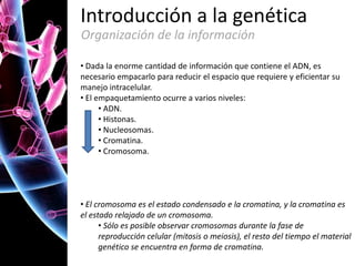 Introducción a la genética
Organización de la información
• Dada la enorme cantidad de información que contiene el ADN, es
necesario empacarlo para reducir el espacio que requiere y eficientar su
manejo intracelular.
• El empaquetamiento ocurre a varios niveles:
• ADN.
• Histonas.
• Nucleosomas.
• Cromatina.
• Cromosoma.

• El cromosoma es el estado condensado e la cromatina, y la cromatina es
el estado relajado de un cromosoma.
• Sólo es posible observar cromosomas durante la fase de
reproducción celular (mitosis o meiosis), el resto del tiempo el material
genético se encuentra en forma de cromatina.

 