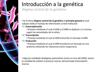 Introducción a la genética
Dogma central de la genética
• Se le llama Dogma central de la genética al principio general al cual
subyace todo el manejo de información a nivel molecular.
• 1. Autorreplicación.
• Proceso mediante el cual el ADN y el ARN se duplican a si mismos
según las necesidades de la célula.
• 2. Transcripción.
• Proceso mediante el cual el ADN transmite el mensaje al ARN
• 3. Traducción.
• Proceso mediante el cual el ARN transforma el mensaje en una
proteína utilizando los ribosomas como maquinaria.

• Algunas entidades biológicas particulares (como el virus del SIDA) tienen
la cualidad de realizar el proceso inverso, denominado transcripción
inversa.

 