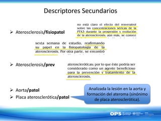 Descriptores Secundarios
 Aterosclerosis/fisiopatol
 Aterosclerosis/prev
 Aorta/patol
 Placa aterosclerótica/patol
29
...