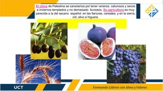 El clima de Palestina se caracteriza por tener veranos calurosos y secos
e inviernos templados y no demasiado lluviosos. Su agricultura es muy
parecida a la del secano español: en las llanuras, cereales; y en la sierra,
vid, olivo e higuera.
 