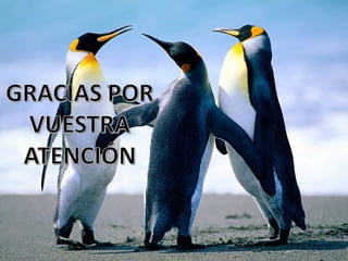 Actualización guidelines hta 2013 