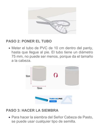 PASO 2: PONER EL TUBO
 Meter el tubo de PVC de 10 cm dentro del panty,
hasta que llegue al pie. El tubo tiene un diámetro
75 mm, no puede ser menos, porque da el tamaño
a la cabeza.
PASO 3: HACER LA SIEMBRA
 Para hacer la siembra del Señor Cabeza de Pasto,
se puede usar cualquier tipo de semilla.
 