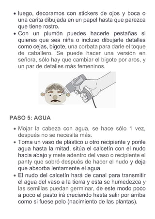  luego, decoramos con stickers de ojos y boca o
una carita dibujada en un papel hasta que parezca
que tiene rostro.
 Con un plumón puedes hacerle pestañas si
quieres que sea niña o incluso dibujarle detalles
como cejas, bigote, una corbata para darle el toque
de caballero. Se puede hacer una versión en
señora, sólo hay que cambiar el bigote por aros, y
un par de detalles más femeninos.
PASO 5: AGUA
 Mojar la cabeza con agua, se hace sólo 1 vez,
después no se necesita más.
 Toma un vaso de plástico u otro recipiente y ponle
agua hasta la mitad, sitúa el calcetín con el nudo
hacia abajo y mete adentro del vaso o recipiente el
panty que sobró después de hacer el nudo y deja
que absorba lentamente el agua.
 El nudo del calcetín hará de canal para transmitir
el agua del vaso a la tierra y esta se humedezca y
las semillas puedan germinar, de este modo poco
a poco el pasto irá creciendo hasta salir por arriba
como si fuese pelo (nacimiento de las plantas).
 
