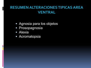  Agnosia para los objetos
 Prosopagnosia
 Alexia
 Acromatopsia
RESUMEN ALTERACIONESTIPICAS AREA
VENTRAL
 