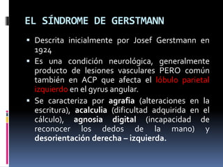 EL SÍNDROME DE GERSTMANN
 Descrita inicialmente por Josef Gerstmann en
1924
 Es una condición neurológica, generalmente
producto de lesiones vasculares PERO común
también en ACP que afecta el lóbulo parietal
izquierdo en el gyrus angular.
 Se caracteriza por agrafia (alteraciones en la
escritura), acalculia (dificultad adquirida en el
cálculo), agnosia digital (incapacidad de
reconocer los dedos de la mano) y
desorientación derecha – izquierda.
 