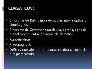 CURSA CON:
 Sindrome de Balint (apraxia ocular, ataxia óptica o
simultagnosia)
 Síndrome de Gerstmann (acalculia, agrafia, agnosia
digital o desorientación izquierda-derecha),
 Agnosia visual
 Prosopagnosia
 Déficits que afecten la lectura, escritura, copia de
dibujos y cálculo.
 