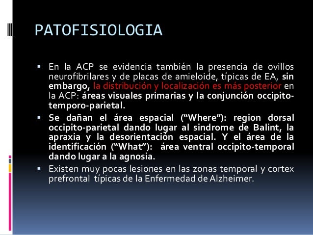 PATOFISIOLOGIA
 En la ACP se evidencia también la presencia de ovillos
neurofibrilares y de placas de amieloide, típicas ...