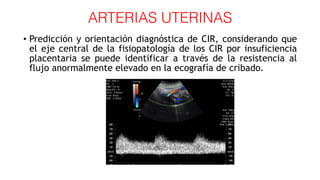 ARTERIAS UTERINAS
• Predicción y orientación diagnóstica de CIR, considerando que
el eje central de la fisiopatología de los CIR por insuficiencia
placentaria se puede identificar a través de la resistencia al
flujo anormalmente elevado en la ecografía de cribado.
 
