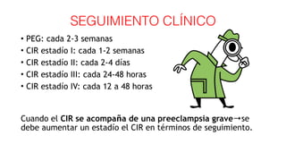 SEGUIMIENTO CLÍNICO
• PEG: cada 2-3 semanas
• CIR estadío I: cada 1-2 semanas
• CIR estadío II: cada 2-4 días
• CIR estadío III: cada 24-48 horas
• CIR estadío IV: cada 12 a 48 horas
 
Cuando el CIR se acompaña de una preeclampsia grave→se
debe aumentar un estadío el CIR en términos de seguimiento.
 