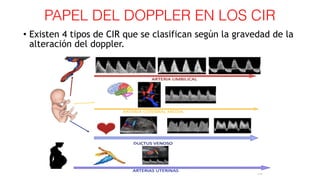 PAPEL DEL DOPPLER EN LOS CIR
• Existen 4 tipos de CIR que se clasifican según la gravedad de la
alteración del doppler.
 