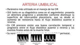 ARTERIA UMBILICAL
• Parámetro más utilizado en el manejo de los CIR
• Útil tanto en su diagnóstico como en el seguimiento: presenta
un deterioro progresivo y predecible conforme disminuye la
superficie de intercambio placentaria, que va desde el
aumento de resistencia hasta el flujo diastólico ausente o
reverso.
• En CIR precoces existe una buena correlación temporal y
progresiva entre el flujo diastólico ausente o reverso y los
eventos finales antes de la muerte fetal.
• Su normalidad se asocia a ausencia de mortalidad perinatal.
 