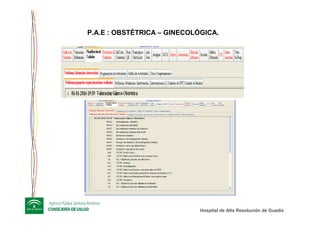 Hospital de Alta ResoluciHospital de Alta Resolucióón de Guadixn de Guadix
P.A.E : OBSTÉTRICA – GINECOLÓGICA.
 
