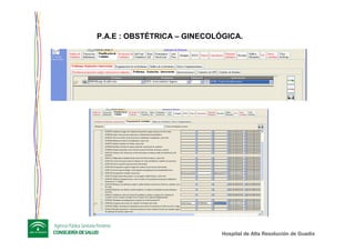 Hospital de Alta ResoluciHospital de Alta Resolucióón de Guadixn de Guadix
-
P.A.E : OBSTÉTRICA – GINECOLÓGICA.
 