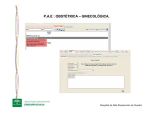 Hospital de Alta ResoluciHospital de Alta Resolucióón de Guadixn de Guadix
-
P.A.E : OBSTÉTRICA – GINECOLÓGICA.
 