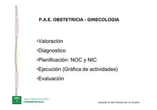 Hospital de Alta ResoluciHospital de Alta Resolucióón de Guadixn de Guadix
P.A.E. OBSTETRICIA - GINECOLOGIA
•Valoración
•Diagnostico
•Planificación: NOC y NIC
•Ejecución (Gráfica de actividades)
•Evaluación
 