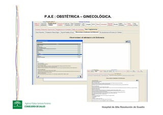 Hospital de Alta ResoluciHospital de Alta Resolucióón de Guadixn de Guadix
-
P.A.E : OBSTÉTRICA – GINECOLÓGICA.
 