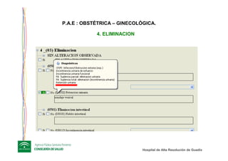 Hospital de Alta ResoluciHospital de Alta Resolucióón de Guadixn de Guadix
4. ELIMINACION
P.A.E : OBSTÉTRICA – GINECOLÓGICA.
 