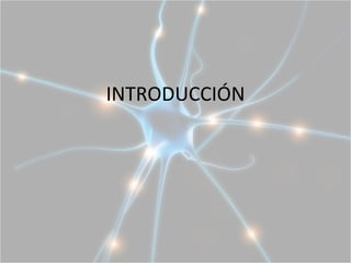 INTRODUCCIÓN
 