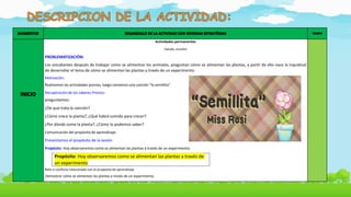 Actividades permanentes
(Saludo, oración)
PROBLEMATIZACIÓN:
Los estudiantes después de trabajar como se alimentan los animales, preguntan cómo se alimentan las plantas, a partir de ello nace la inquietud
de desarrollar el tema de cómo se alimentan las plantas a través de un experimento.
Motivación:
Realizamos las actividades previas, luego cantamos una canción “la semillita”
Recuperación de los saberes Previos:
preguntamos:
¿De que trata la canción?
¿Cómo crece la planta?, ¿Qué habrá comido para crecer?
¿Por dónde come la planta?, ¿Cómo lo podemos saber?
Comunicación del propósito de aprendizaje:
Presentamos el propósito de la sesión
Propósito: Hoy observaremos como se alimentan las plantas a través de un experimento.
Reto o conflicto relacionado con el propósito de aprendizaje
Demostrar cómo se alimentan las plantas a través de un experimento.
Propósito: Hoy observaremos como se alimentan las plantas a través de
un experimento.
 