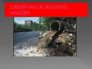 OBSERVAN LA SIGUIENTE IMAGEN