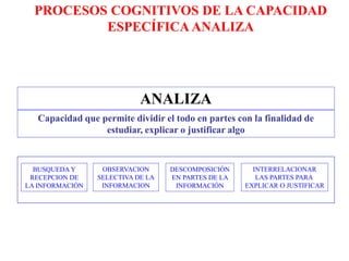 ANALIZA
BUSQUEDA Y
RECEPCION DE
LA INFORMACIÓN
OBSERVACION
SELECTIVA DE LA
INFORMACION
DESCOMPOSICIÓN
EN PARTES DE LA
INFORMACIÓN
INTERRELACIONAR
LAS PARTES PARA
EXPLICAR O JUSTIFICAR
Capacidad que permite dividir el todo en partes con la finalidad de
estudiar, explicar o justificar algo
PROCESOS COGNITIVOS DE LA CAPACIDAD
ESPECÍFICA ANALIZA
 