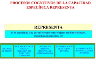REPRESENTA
Es la capacidad que permite representar objetos mediante dibujos,
esquemas, diagramas, etc
DESCRIPCIÓN DE LA
FORMA Y
UBICACIÓN DEL
TODO Y SUS
ELEMENTOS
OBSERVAR
EL OBJETO.
GENERAR UN
ORDEN O
SECUENCIA DE
REPRESENTACIÓN
REPRESENTACIÓN
DE LA FORMA
EXTERNA
REPRESENTACIÓN
DE LOS ELEMENTOS
INTERNOS.
PROCESOS COGNITIVOS DE LA CAPACIDAD
ESPECÍFICA REPRESENTA
 