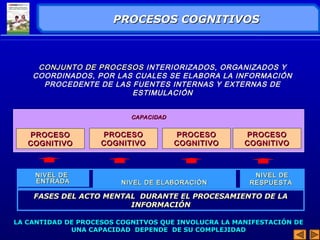 PPRROOCCEESSOOSS CCOOGGNNIITTIIVVOOSS 
CONJUNTO DDEE PPRROOCCEESSOOSS INTERIORIZADOS, ORGANIZADOS Y 
COORDINADOS, POR LAS CUALES SE ELABORA LA INFORMACIÓN 
PROCEDENTE DE LAS FUENTES INTERNAS Y EXTERNAS DE 
ESTIMULACIÓN 
CCAAPPAACCIIDDAADD 
PPRROOCCEESSOO 
CCOOGGNNIITTIIVVOO 
PPRROOCCEESSOO 
CCOOGGNNIITTIIVVOO 
PPRROOCCEESSOO 
CCOOGGNNIITTIIVVOO 
PPRROOCCEESSOO 
CCOOGGNNIITTIIVVOO 
NNIIVVEELL DDEE 
EENNTTRRAADDAA NNIIVVEELL DDEE EELLAABBOORRAACCIIÓÓNN 
NNIIVVEELL DDEE 
RREESSPPUUEESSTTAA 
FFAASSEESS DDEELL AACCTTOO MMEENNTTAALL DDUURRAANNTTEE EELL PPRROOCCEESSAAMMIIEENNTTOO DDEE LLAA 
IINNFFOORRMMAACCIIÓÓNN 
LLAA CCAANNTTIIDDAADD DDEE PPRROOCCEESSOOSS CCOOGGNNIITTVVOOSS QQUUEE IINNVVOOLLUUCCRRAA LLAA MMAANNIIFFEESSTTAACCIIÓÓNN DDEE 
UUNNAA CCAAPPAACCIIDDAADD DDEEPPEENNDDEE DDEE SSUU CCOOMMPPLLEEJJIIDDAADD 
 