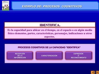 EEJJEEMMPPLLOO DDEE:: PPRROOCCEESSOOSS CCOOGGNNIITTIIVVOOSS 
IIDDEENNTTIIFFIICCAA.. 
Es la capacidad para ubicar en el tiempo, en el espacio o en algún medio 
físico elementos, partes, características, personajes, indicaciones u otros 
aspectos. 
PPRROOCCEESSOOSS CCOOGGNNIITTIIVVOOSS DDEE LLAA CCAAPPAACCIIDDAADD ““IIDDEENNTTIIFFIICCAA”” 
CCAARRAACCTTEERRIIZZAACCIIÓÓNN 
EEXXPPRREESSIIÓÓNN 
OO 
RREECCOONNOOCCIIMMIIEENNTTOO 
RREECCEEPPCCIIÓÓNN 
DDEE LLAA 
IINNFFOORRMMAACCIIÓÓNN 
 