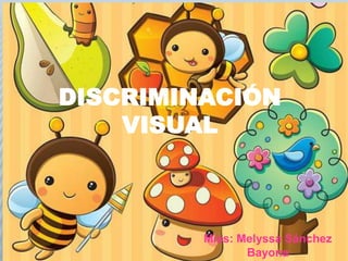 DISCRIMINACIÓN
VISUAL
Miss: Melyssa Sánchez
Bayona
 