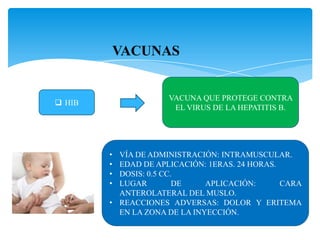  HIB
VACUNA QUE PROTEGE CONTRA
EL VIRUS DE LA HEPATITIS B.
• VÍA DE ADMINISTRACIÓN: INTRAMUSCULAR.
• EDAD DE APLICACIÓN: 1ERAS. 24 HORAS.
• DOSIS: 0.5 CC.
• LUGAR DE APLICACIÓN: CARA
ANTEROLATERAL DEL MUSLO.
• REACCIONES ADVERSAS: DOLOR Y ERITEMA
EN LA ZONA DE LA INYECCIÓN.
 